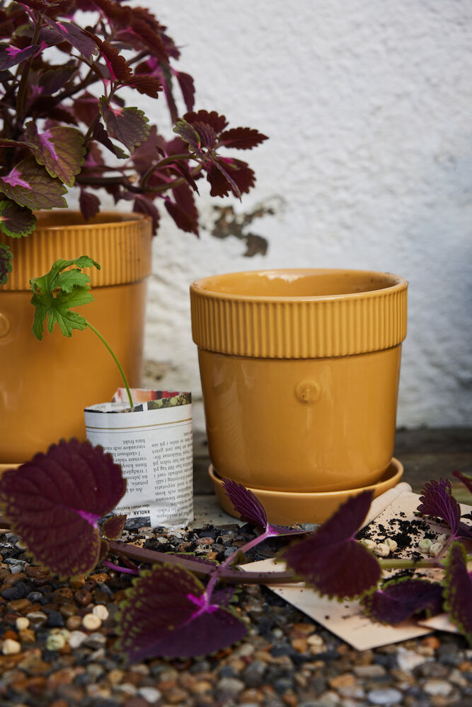 Elise ruukku, pieni - Image 7